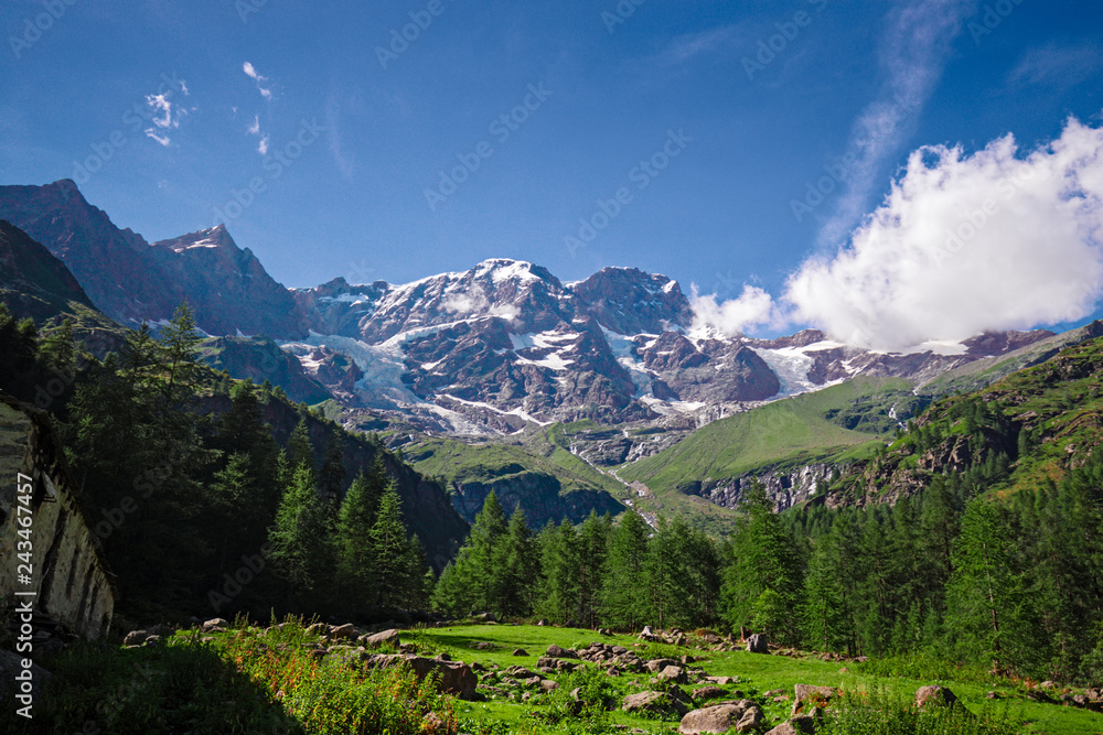 Panoramic view, in the grips of a mountain pasture, of the south face of Monte Rosa in Piedmont, Italy.