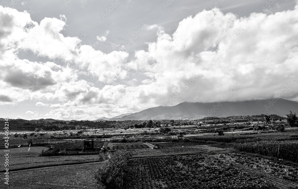 Sky, mountains, fields, clouds black and white Sky, mountains, fields, clouds black and white