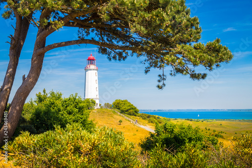 Obraz na płótnie Lighthouse Dornbusch on the island Hiddensee, Rügen, Ostsee, Germany w salonie