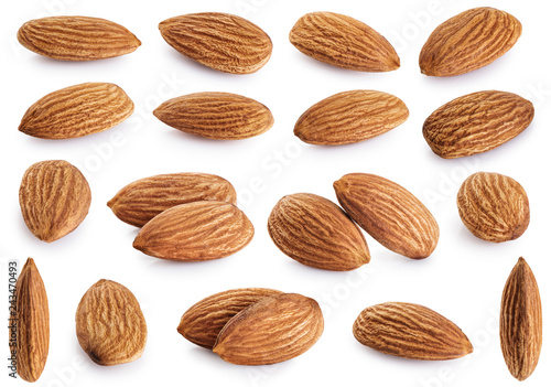 Almonds collection isolated on white background.