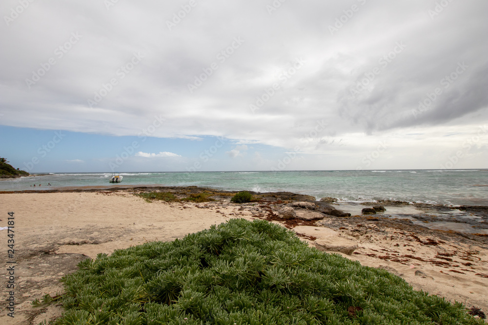Caribbean bay with rocks, sandy beach and coral reef. clear sea with a yellow boat, coral reef beach with sargasso on the sand and clouds on the horizon and waves crashing on the shore