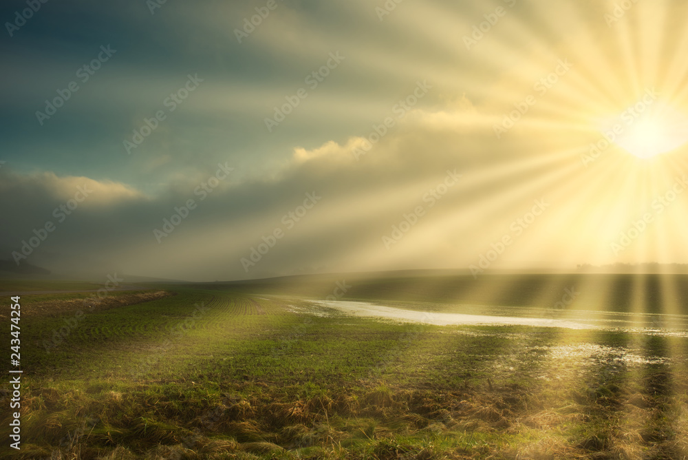 Fototapeta Promienie słoneczne w mglisty krajobraz