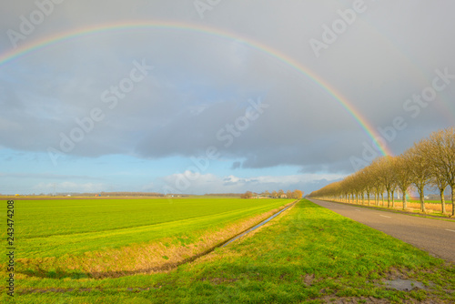 Deteriorating weather over a meadow in sunlight in winter