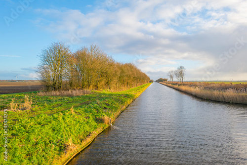 Shore of a canal meandering in a rural landscape in sunlight in winter