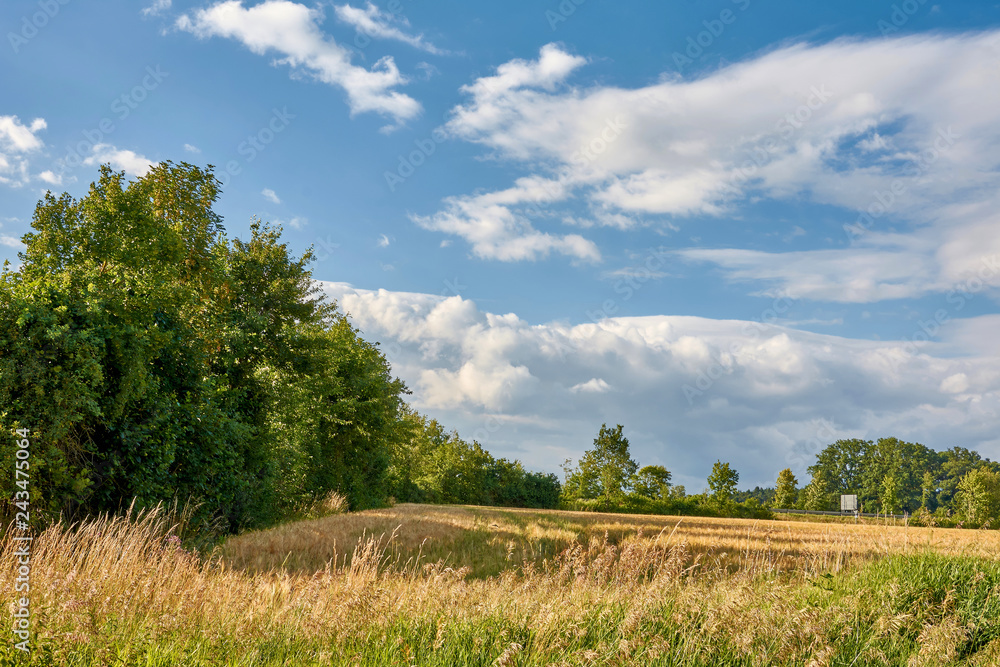 Naturlandschaft mit Trockenwiese Naturlandschaft mit Trockenwiese
