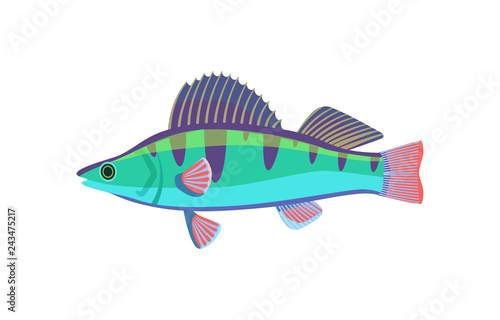 Colorful Fish Type Closeup Vector Illustration