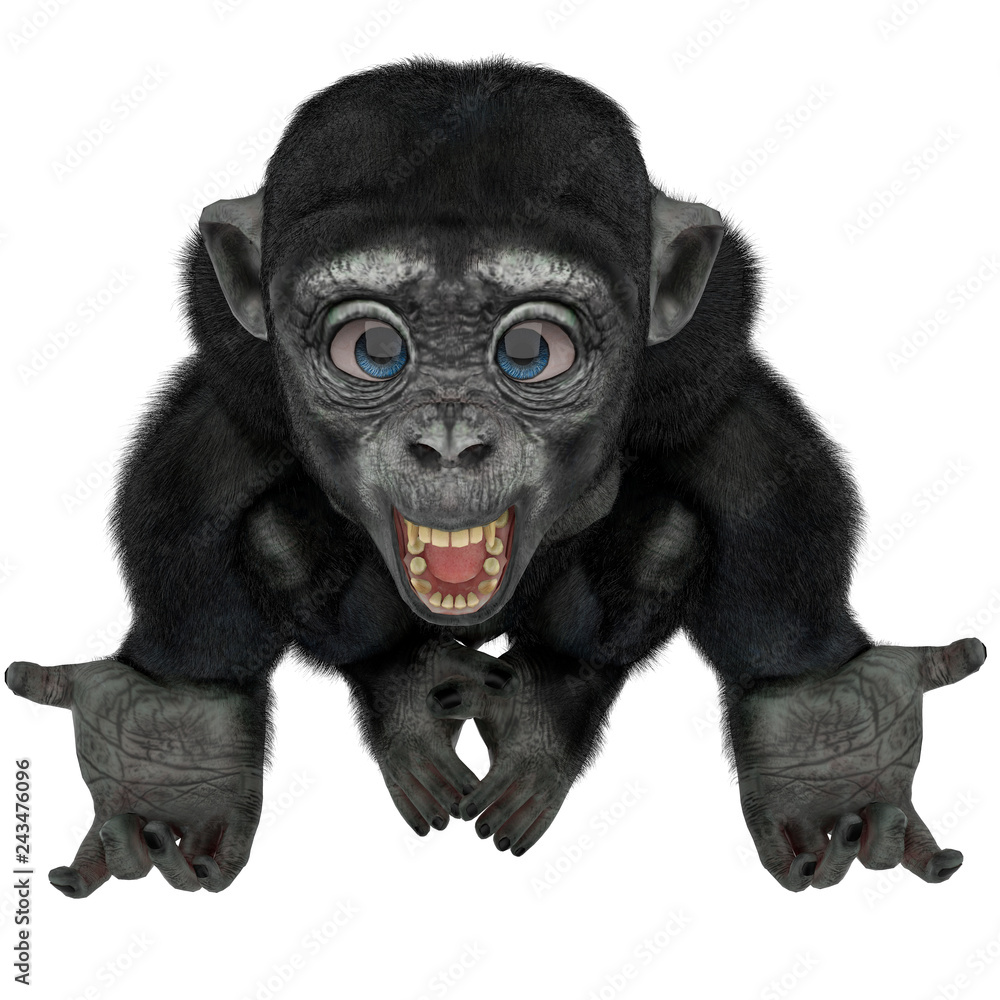 baby chimpanzee cartoon in a white background baby chimpanzee cartoon in a white background