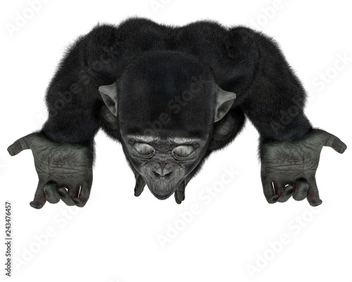 Fototapeta Naklejka Na Ścianę i Meble -  baby chimpanzee cartoon in a white background