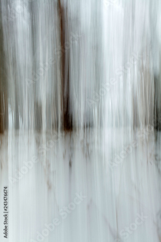 an abstraction of an snowy forest in winter in Siberia