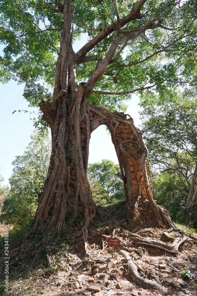 Kampong Thom, Cambodia-January 12, 2019: A ruined temple at Prasat Yeah Puon in Sambor Prei Kuk in Cambodia Kampong Thom, Cambodia-January 12, 2019: A ruined temple at Prasat Yeah Puon in Sambor Prei Kuk in Cambodia