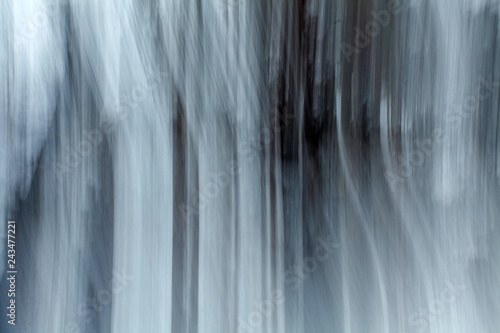 an abstraction of an snowy forest in winter in Siberia