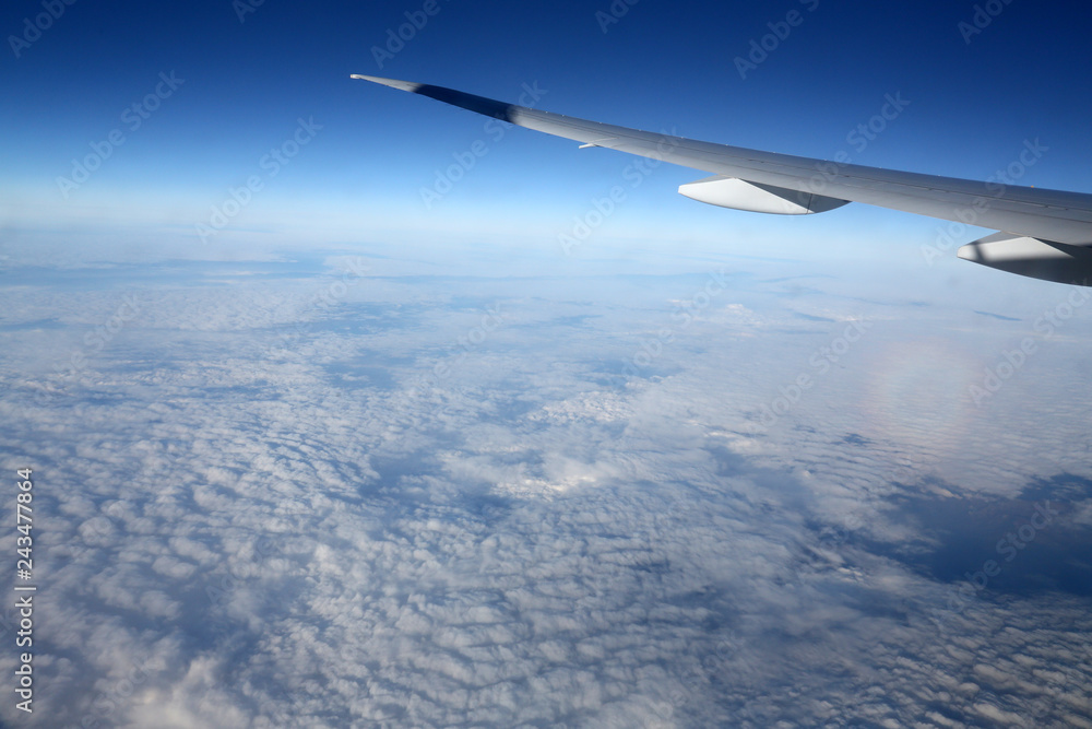 Fototapeta premium Wing of airplane 