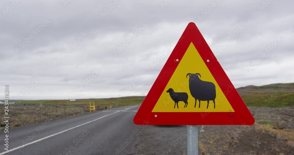 Iceland Sheep Road Sign on the Famous Ring Road aka Route 1, a destination for Icelandic road trip for tourists visiting Iceland. Iceland Sheep Road Sign on the Famous Ring Road aka Route 1, a destination for Icelandic road trip for tourists visiting Iceland.