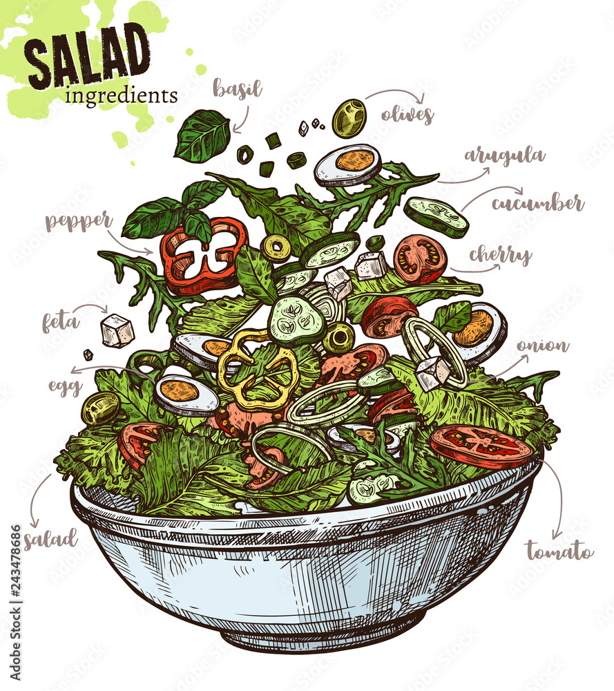 Sketch vegetables salad with levitation ingredients products and plate