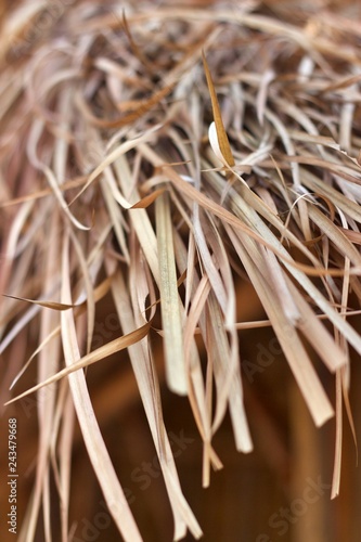 closeup of straw