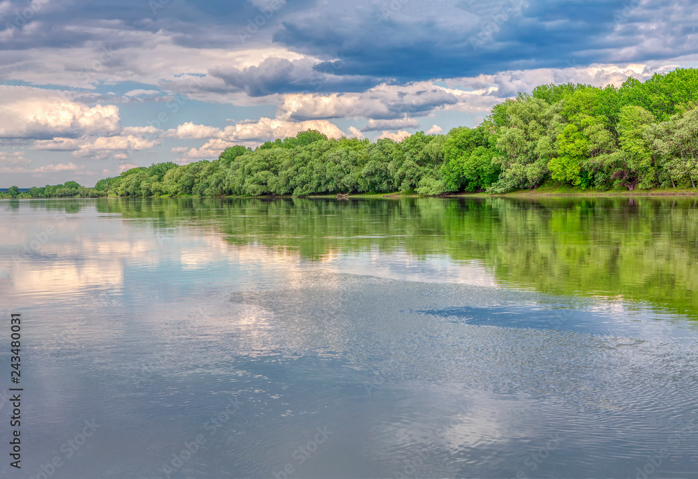 idyllic nature, flowing water and green forest idyllic nature, flowing water and green forest
