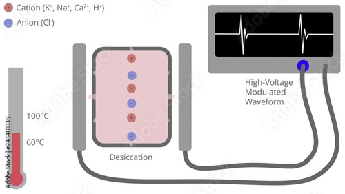 Electrosurgery Conversion of Radiofrequency Energy to Heat for Desiccation Animation with International Labeling photo