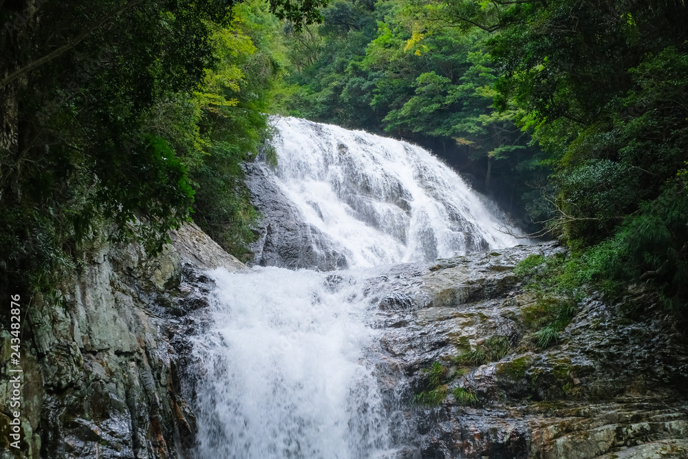 Obraz premium すさみ町 雫ノ滝