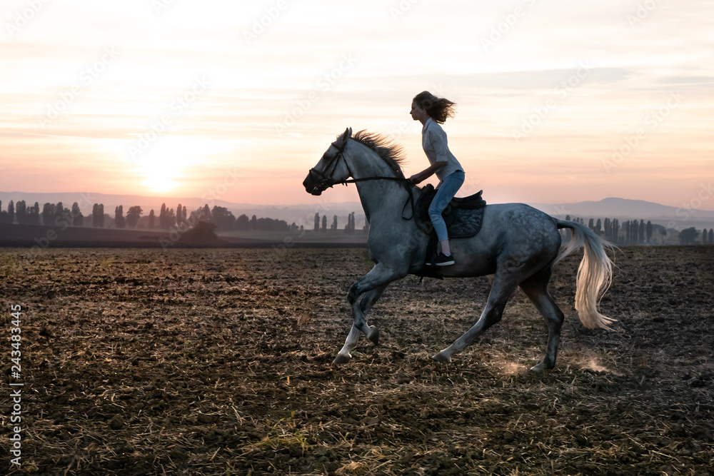 Silhouette of a girl and a horse at sunset, rushing over the field