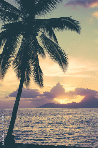 Fototapeta Naklejka Na Ścianę i Meble -  Palm tree silhouette at sunset. Vintage filtered image.
