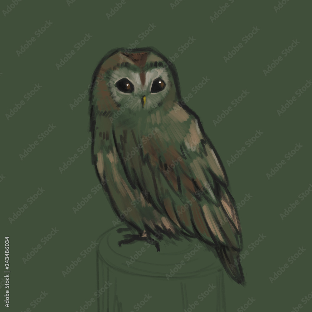 Fototapeta premium Sketch style illustration with owl. Cute little owl character. Bird creature.