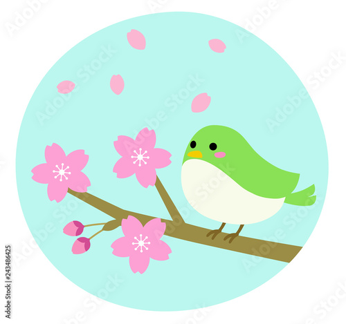 Cherry Blossoms and Nightingale
