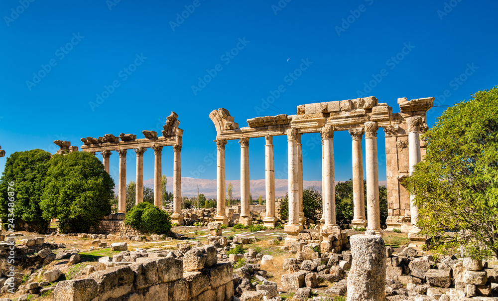 Fototapeta premium Ruins of Bustan al-Khan at Baalbek, Lebanon