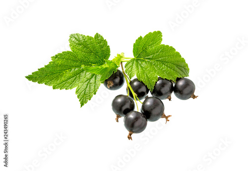 Black currant with currant leaf. Heap of fresh black currant fruit.