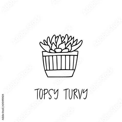 Topsy Turvy succulent plant in decorative pot in doodle style with a handwritten title