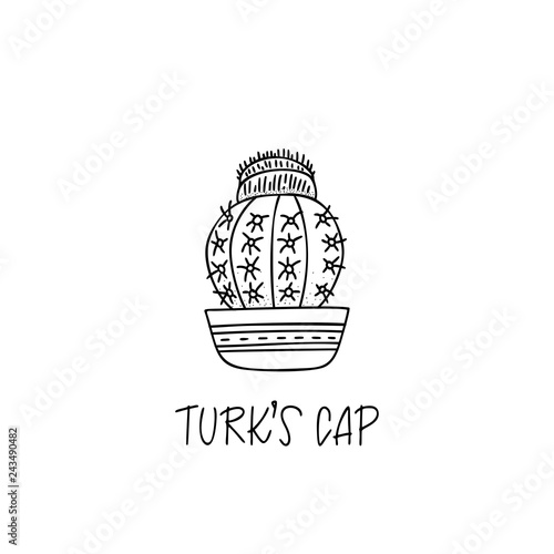 Turks Cap cactus in decorative pot in doodle style with a handwritten title.