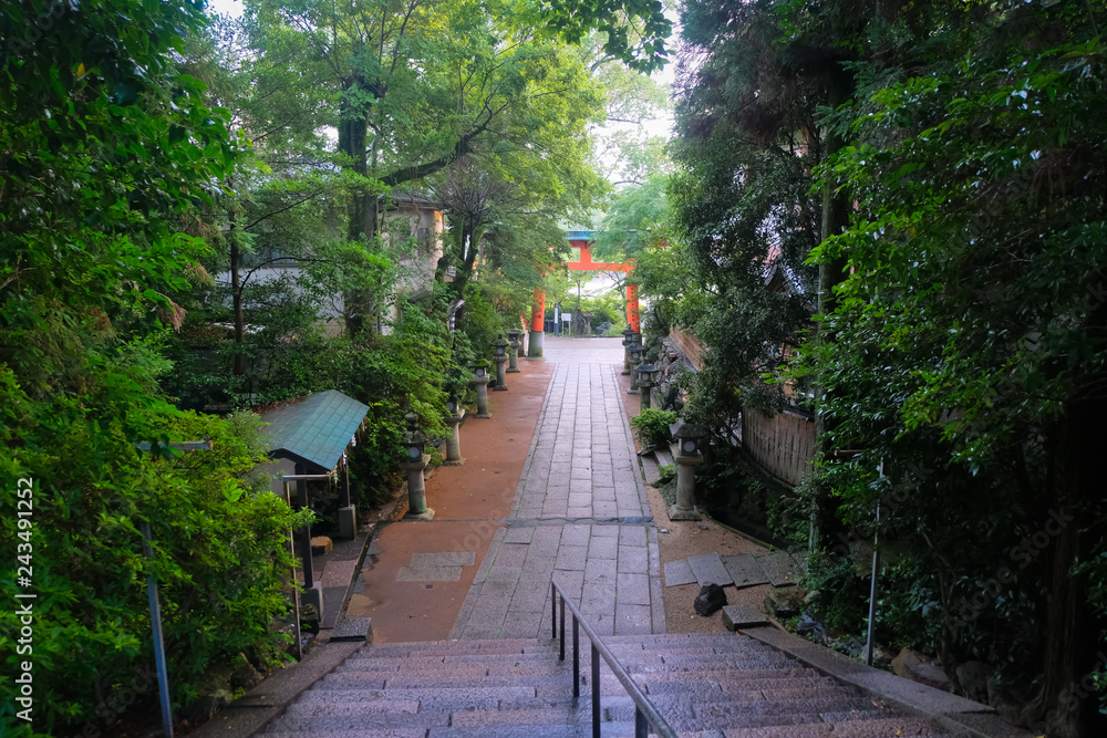 京都 雨上りの宇治神社