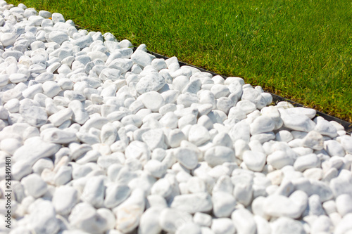 Alley in the park, trees, bushes, lawn