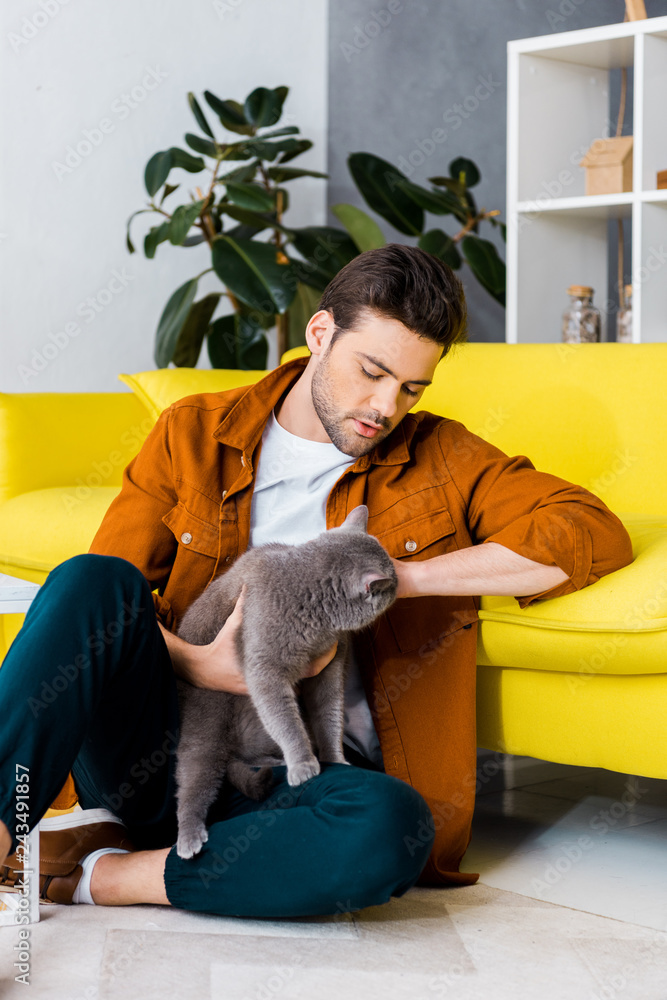 handsome man sitting on floor with british shorthair cat handsome man sitting on floor with british shorthair cat