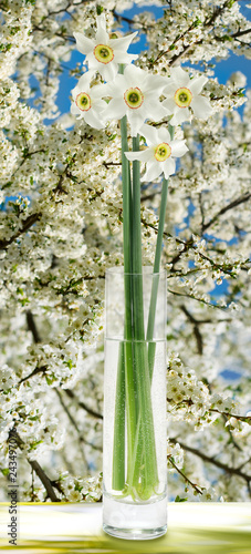 Fototapeta Naklejka Na Ścianę i Meble -  bouquet of flowers against blossoming tree background
