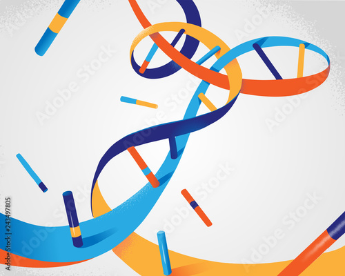 DNA Helix