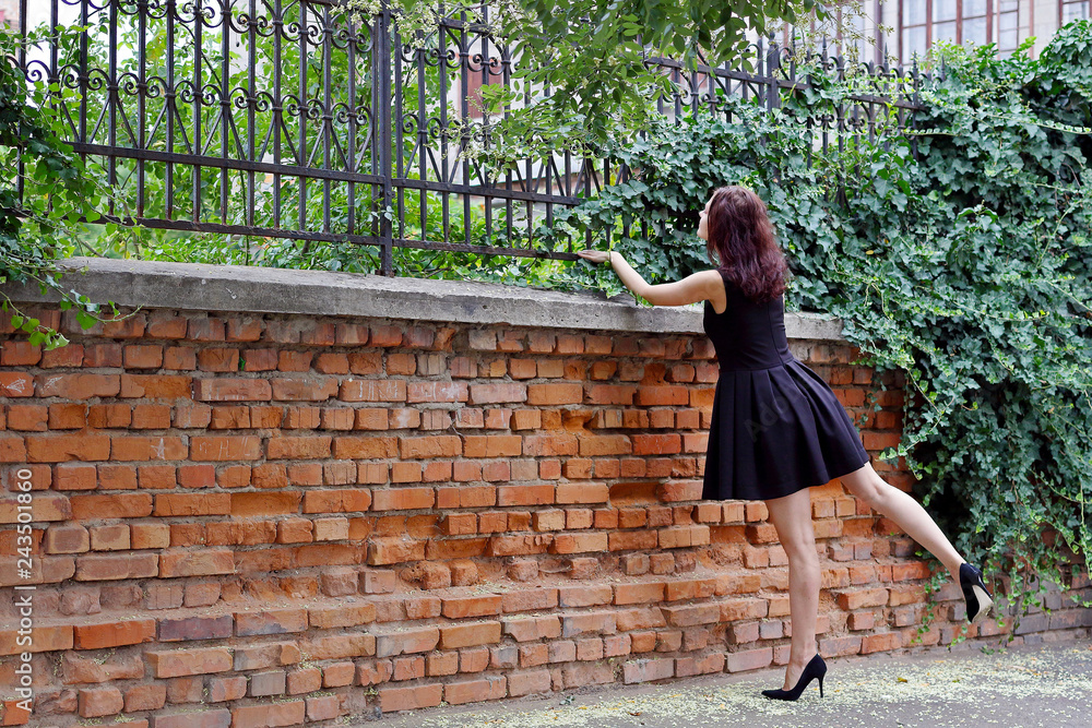 Fence net dress online