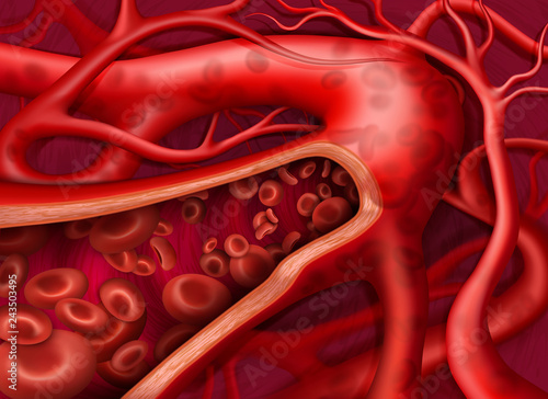 Vector illustration. Circulation of the blood in vein