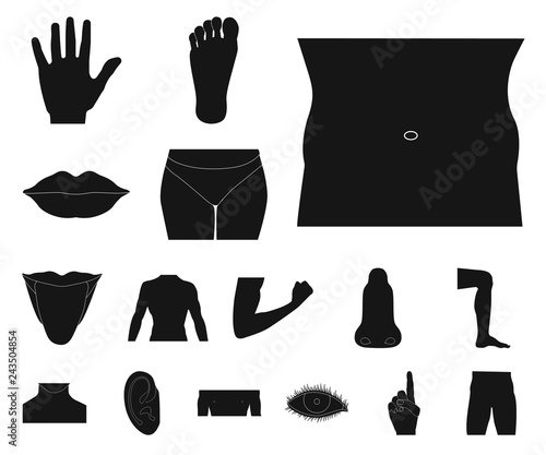Isolated object of human and part sign. Set of human and woman vector icon for stock.
