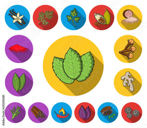 Herb and spices flat icons in set collection for design.Different kinds of seasonings vector symbol stock web illustration.