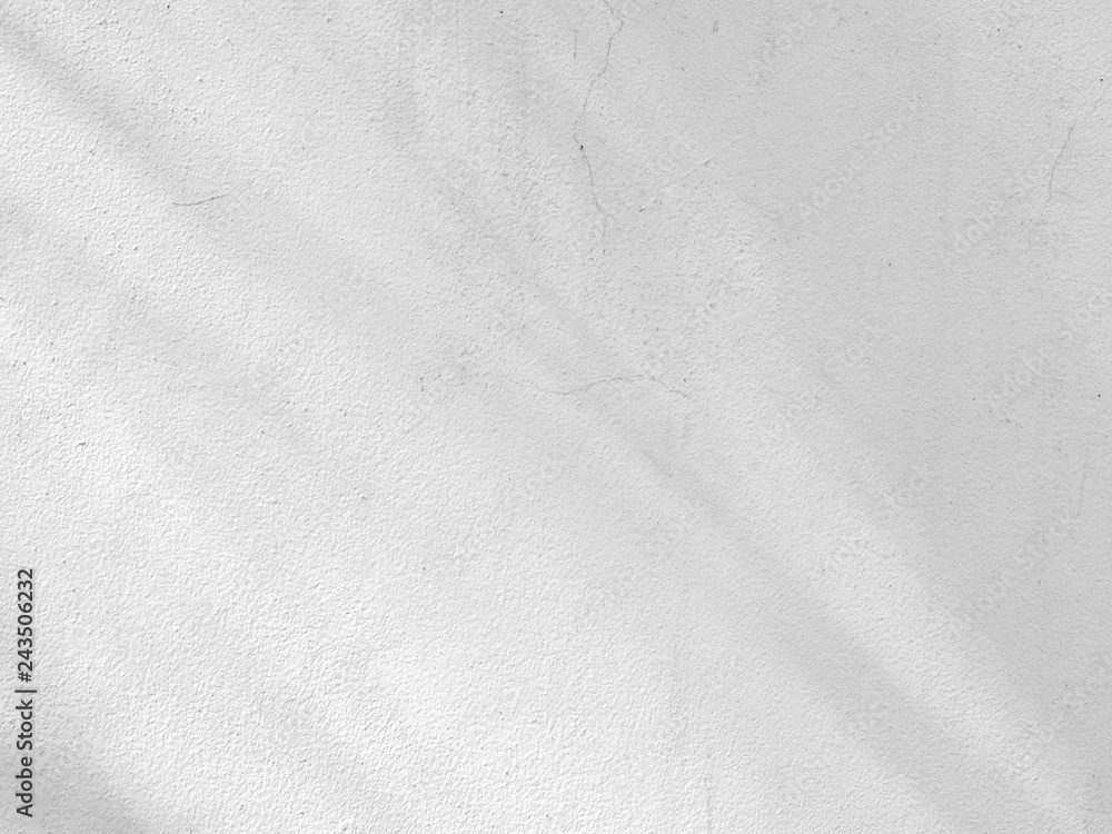 shadow of branches and leaves on crack white wall shadow of branches and leaves on crack white wall
