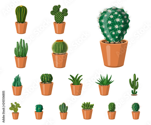 Vector illustration of cactus and pot icon. Set of cactus and cacti stock vector illustration.