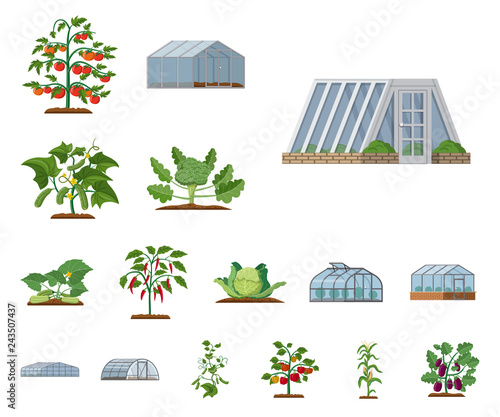 Isolated object of greenhouse and plant symbol. Collection of greenhouse and garden stock symbol for web.