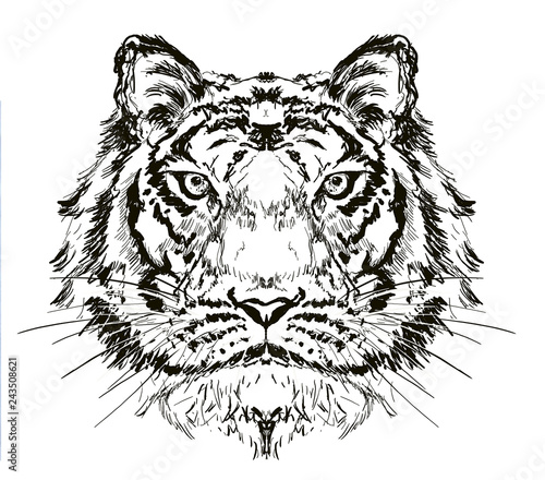 tiger head hand drawn illustration,art wall inspiration