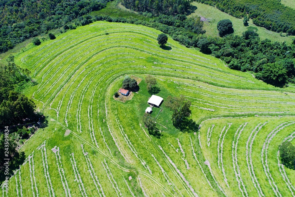Aerial view of agriculture field and rural scene. Beaufiful landscape. Great countryside view. Great colors and contrast