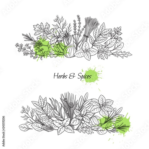 Culinary herbs and spice