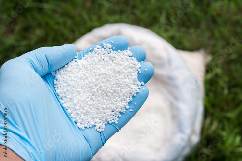 Farmer`s hand in blue glove holds white granular fertilizer against a green lawn and a bag on it photo