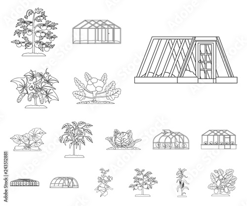 Vector illustration of greenhouse and plant logo. Set of greenhouse and garden stock symbol for web.