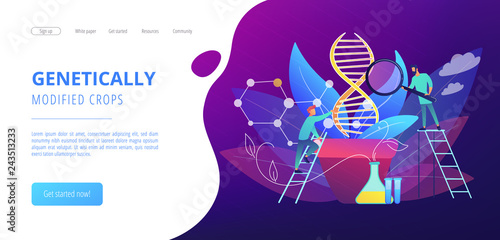 Scientists with magnifier looking at huge DNA in the pot. Genetically modified plants, GM crops and biotech crops concept on white background. Website vibrant violet landing web page template.