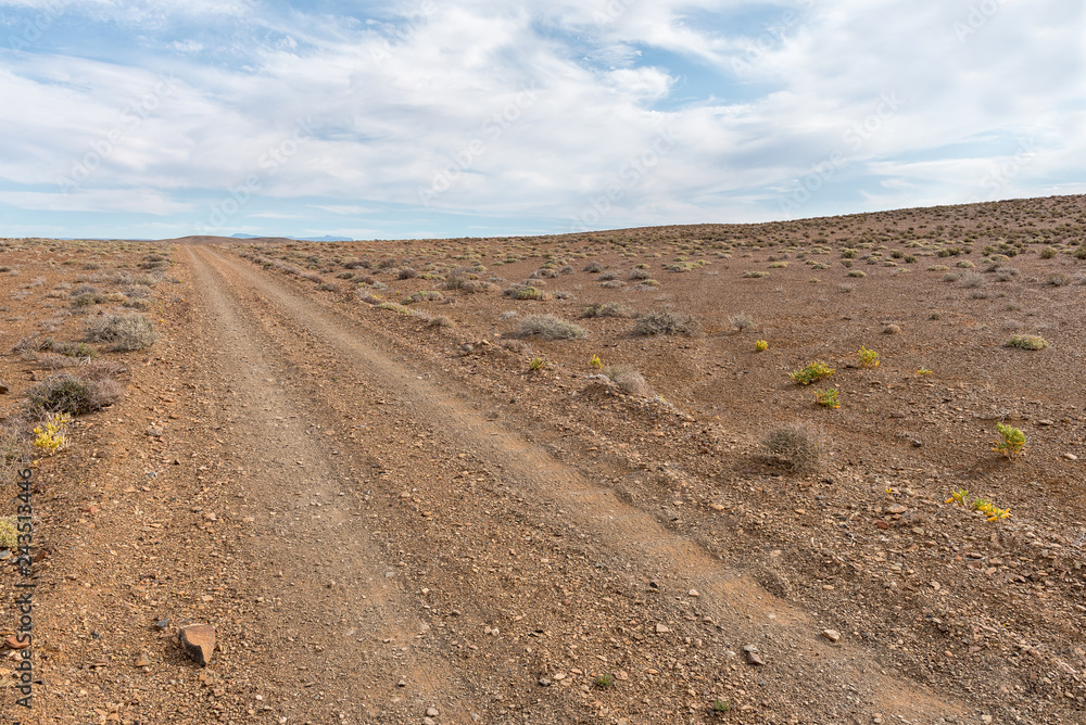 Badly corrugated gravel road in the Tankwa Karoo