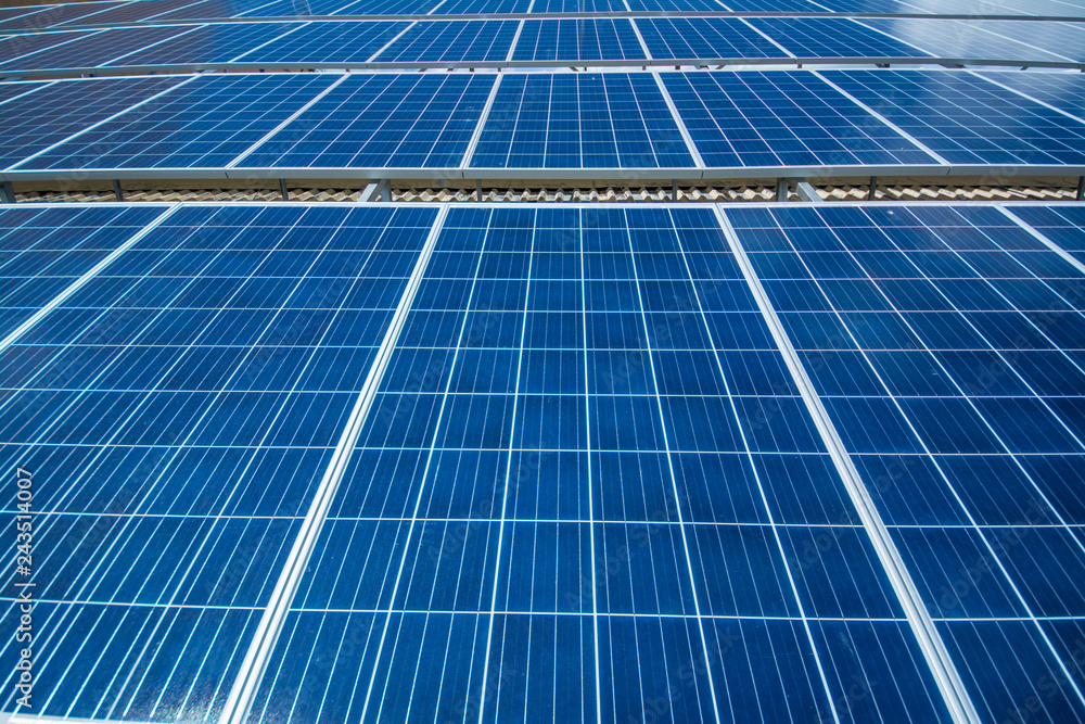 Solar panels, wide view. Solar panels, wide view.